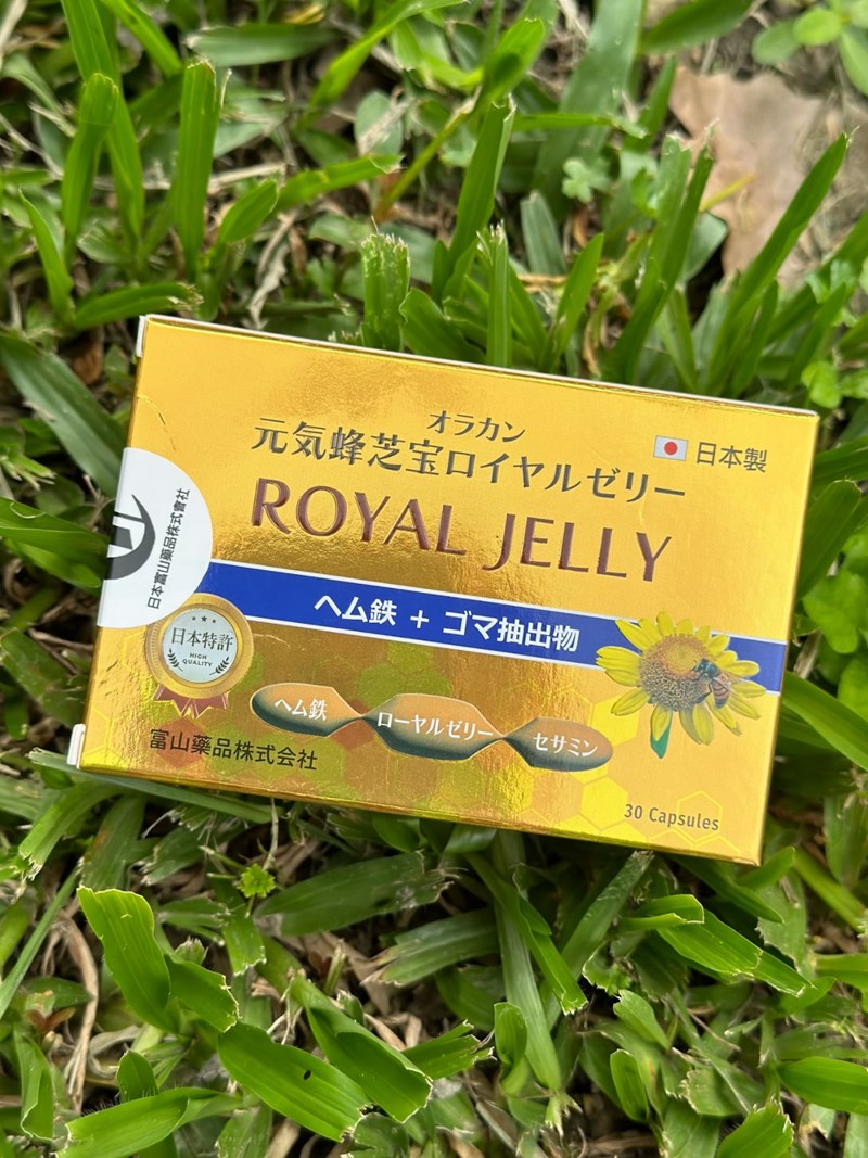 試用